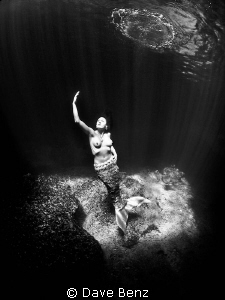 Mermaids dream... by Dave Benz 